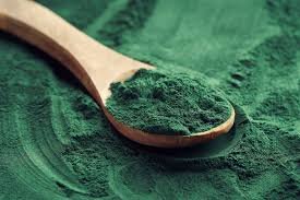 Une cuillère en bois contenant de la spiruline en poudre.